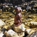 Un suricate hors de son terrier