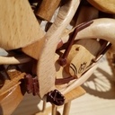Moto en bois