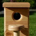La cabane pour oiseau de 10x20 en pin