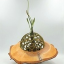 Strange (sculpture tournée)