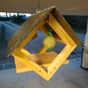 Cabane à oiseaux