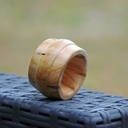 Coquetier de l'oiseau qui quitte le nid