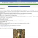 Journée ceinturage d'arbre