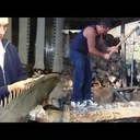 Du sciage à la mano