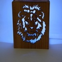 Lion LEDs RGBWW wifi