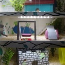 Maison à hamsters