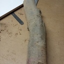 Maillet circulaire de menuisier