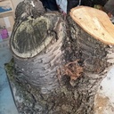 Cerisier ! Quelques petits projets à venir après séchage...