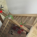 Escalier balancé en chêne