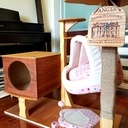 Le "Chat'O" des Plaisirs...une salle de gym pour chat