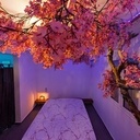 Cerisier du Japon - Chambre complète