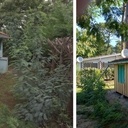 Restauration d'un bungalow en bord de mer