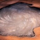 Plans de travail cuisine Acajou et résine