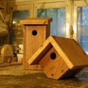 Nichoirs et mangeoires pour oiseaux en chêne