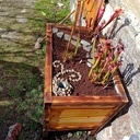 Jardinière pour mangeuse de mouche