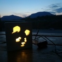 Veilleuse bois panda