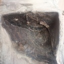 Un tronc dans un tronc