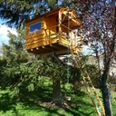 Cabane dans les arbres