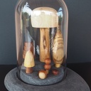 Arboretum sous cloche