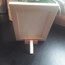 Le lion et la lionne