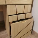 Bureau "Macaque Japonais"