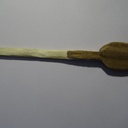 Cuillère en bois
