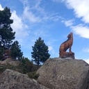 Le chemin des animaux