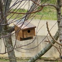Nichoirs et mangeoires pour oiseaux en chêne