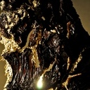 Lampe en écorce de chêne