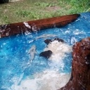 Table  basse theme mer en noyer échauffé