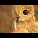 Andy Burgess un professionnel Sculpteur sur bois à la tronçonneuse