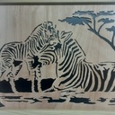 Maman et bébé zèbre