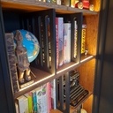 Bibliothèque chêne