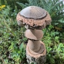 Avis aux amateurs de champignons