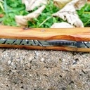 J'adore le cade ! Nouveau pliant.