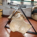 Table basse verre ferronnerie sophora du japon