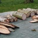 La famille lapins - Décoration extérieure de Pâques