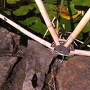 Géode décorative de bassin