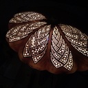 Patisson de lumière !!!