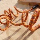 ToucheLibre : un Clavier Ergonomique en Bois