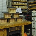 Pour les coccinelles et autres...