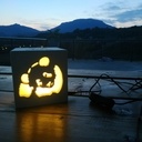 Veilleuse bois panda