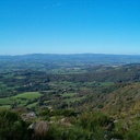 Pétition pour une forêt du Morvan en danger