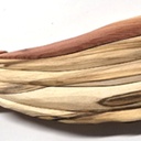 Le poisson des étangs de Sologne