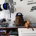 Tortue qui pêche sculpter