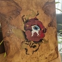 Botanical eyes (Yeux Botaniques)