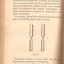 L'Air du Bois
