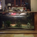 Table basse aquarium