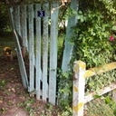 Portillon de jardin