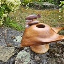 Une raie et son poisson pilote en boite